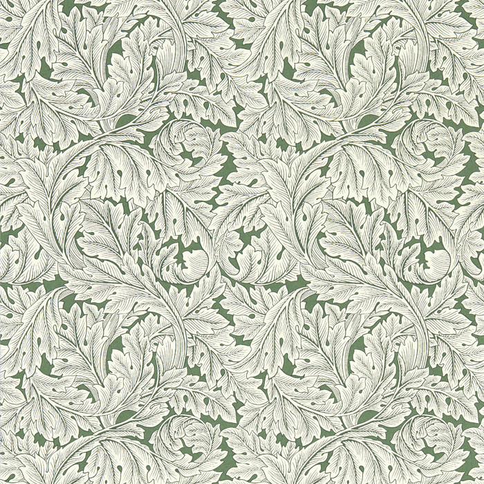 Acanthus Wp in Sage, Wallcovering by Clarke & Clarke