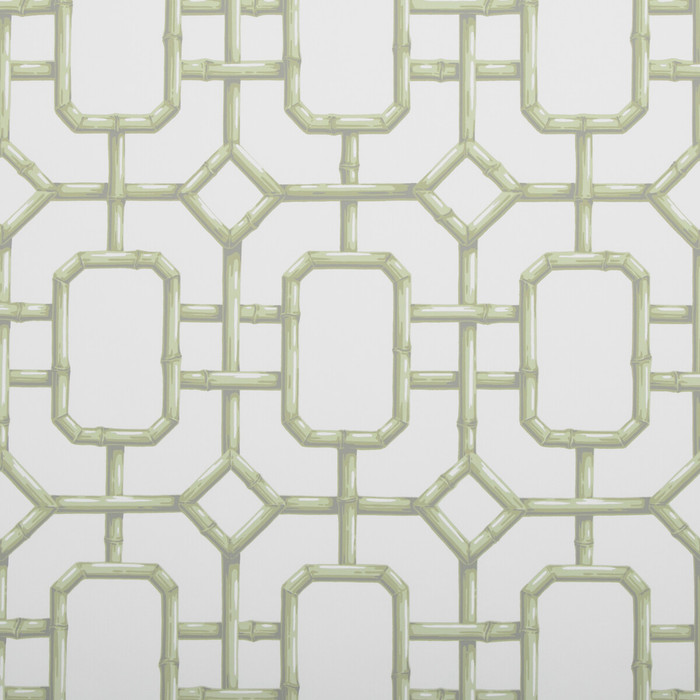 Bambu Fret in Celery, Wallcovering by Kravet Couture