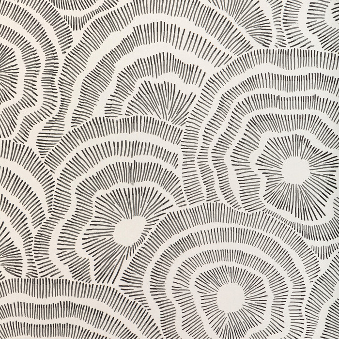 Panache Wp in Noir, Wallcovering by Kravet Couture