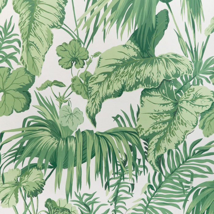 Yasuni Wp in Verde, Wallcovering by Kravet Couture