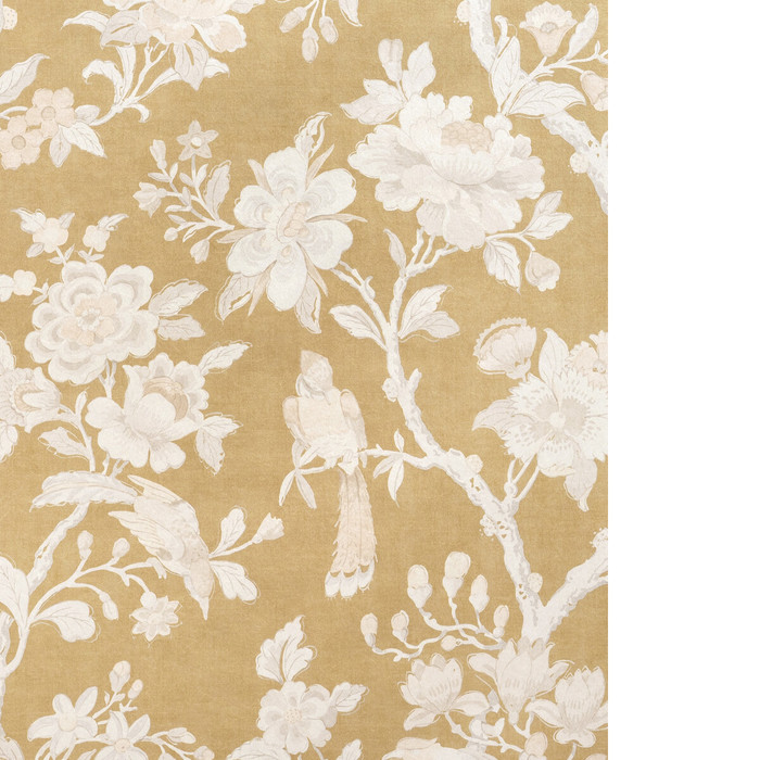 Symphony Mica Wp in Gold, Wallcovering by Kravet Couture