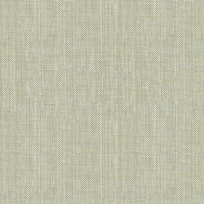 30299.2111.0 By Kravet Basics