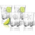 Tritan Double Old Fashioned Glasses 12Oz (Set Of 4) : Shells Collection
