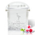 Personalized Insulated Ice Bucket With Tongs - Flamingo #2