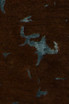 Chandra Veleno 29301