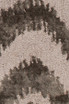 Chandra Paola 41401