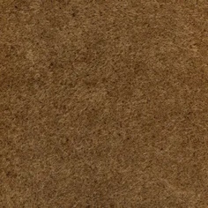 Donghia