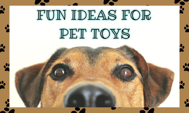 Fun Ideas for Pet Toys