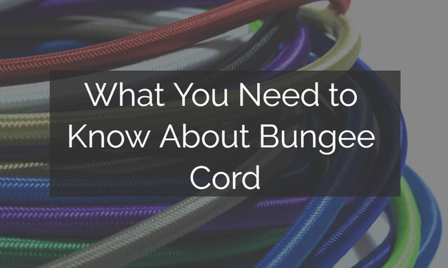 What You Need to Know About Bungee Cord