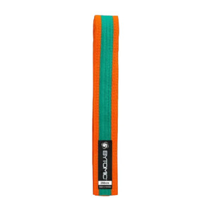 Bytomic Orange Belt With Green Stripe