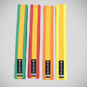 Bytomic Coloured Martial Arts Belt with Gold Stripe