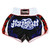 Twins Special Muaythai Shorts LAITHAI