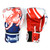 Twins Special Boxing Gloves Yant