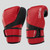 Century C-Gear Determination Point Fighting Punches