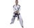 Top Ten ITF Diamond Master Instructor