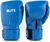 Blitz Omega Boxing Gloves