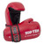 Top Ten Pointfighter Gloves