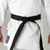 Blitz Adult Zanshin Karate Gi - 12oz