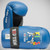 Blue Top Ten Kids Generation ITF Pointfighter Gloves