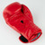Blitz Training Boxing Gloves