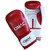 Cimac Artificial Leather Boxing Gloves
