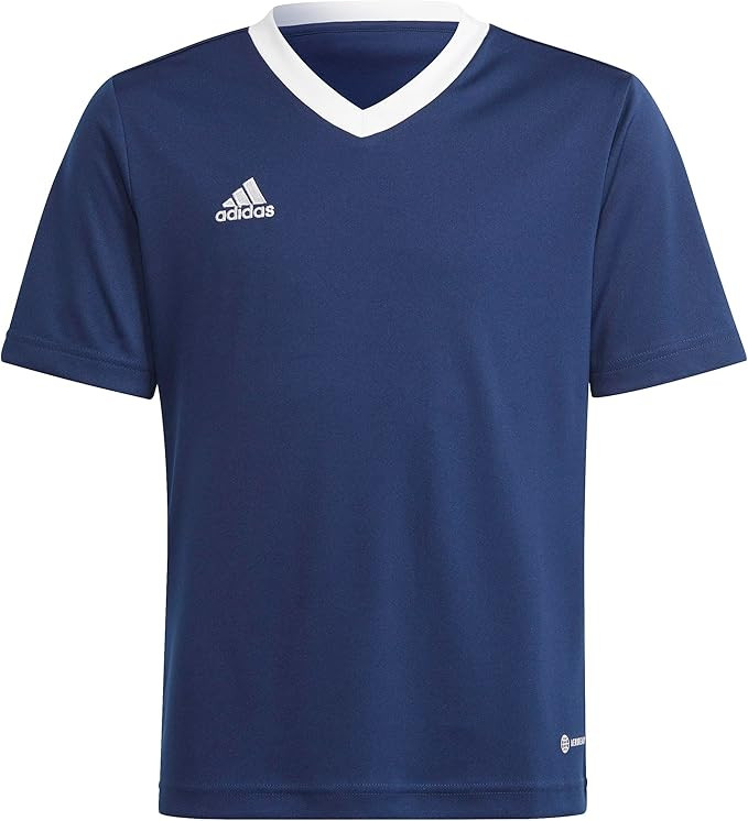 adidas Unisex Kids Entrada 22 Jersey Royal Blue