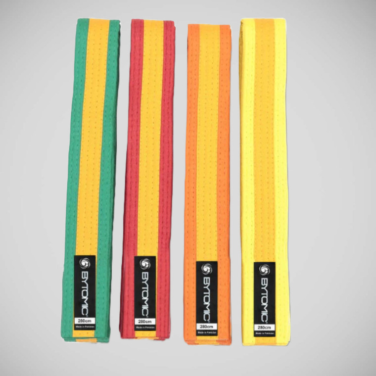 Bytomic Coloured Martial Arts Belt with Gold Stripe