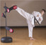 Blitz Target Master Multi Kick Punch Target Stand