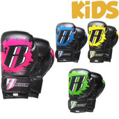 Revgear Deluxe Boxing Gloves