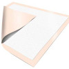 Disposable Underpad Dignity® Ultrashield® Premium 30 x 30 Inch Fluff / Polymer Moderate Absorbency 333606 Case of 100