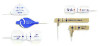 SpO2 Sensor OxiMax Max-Fast Forehead Adult Single Patient Use MAXFAST Pack of 1