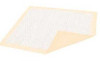 Disposable Underpad Dignity® Plus 30 x 36 Inch Fluff / Polymer Moderate Absorbency 333607 Pack of 10