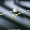 Foley Catheter Bardex® I.C. 2-Way Standard Tip 5 cc Balloon 24 Fr. Silver Hydrogel Coated Latex 0165SI24 Pack of 1