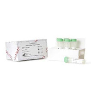 Control NATtrol Strep A Negative Level 6 x 0.5 mL NATSDG-6MC Pack of 1