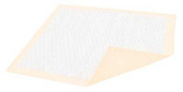 Disposable Underpad Dignity® Premium 30 x 36 Inch Fluff / Polymer Moderate Absorbency 333608 Case of 100