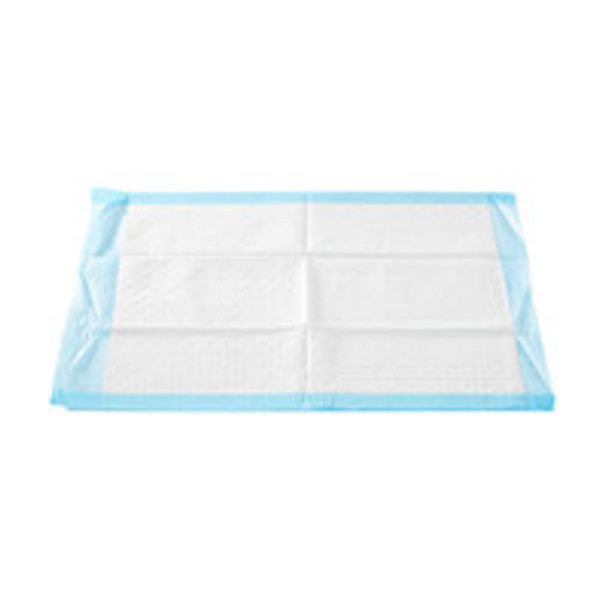 Procedure Underpad McKesson 17 W x 24 L Inch Blue NonSterile 16-16650 Case of 6