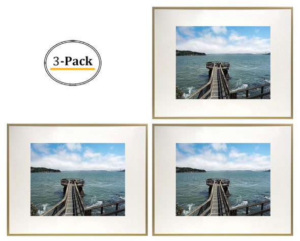 16x20 Gold Metal Picture Frame for 11x14 Photo with Ivory Mat - Set of 3