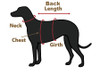 Dog Argyle Sweaters Size Chart
