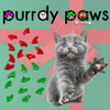 Purrdy Paws Cat and Kitten Soft Nail Cap Covers in Combo - Christmas