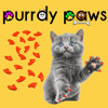 Purrdy Paws Cat and Kitten Soft Nail Cap Covers in Orange