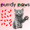 Purrdy Paws Cat and Kitten Soft Nail Cap Covers in Two Toned Santa's Cap Red & White