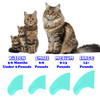 Purrdy Paws Soft Nail Caps for Cat Claws - Robins Egg Glow-in-the-Dark