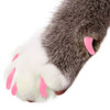 Purrdy Paws Soft Nail Caps for Cat Claws - Pink Glow-in-the-Dark