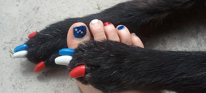 Caps for deals dog nails