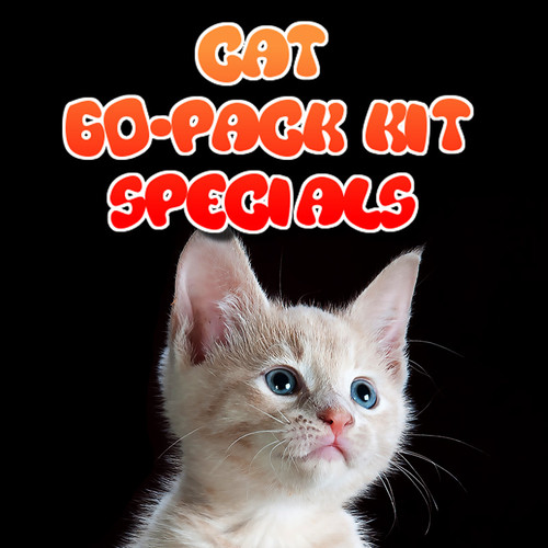 60pk Cat Nail Cap Kit Sale Purrdy Paws