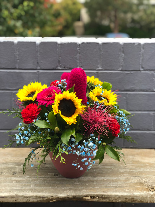 Sunny and bright pot arrangement - FREE DELIVERY