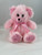 Jemima Teddy Bear (20cm) - pink