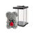 Rose Bear Grey with Red Flower