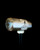 12-lb Engraved Sledgehammer