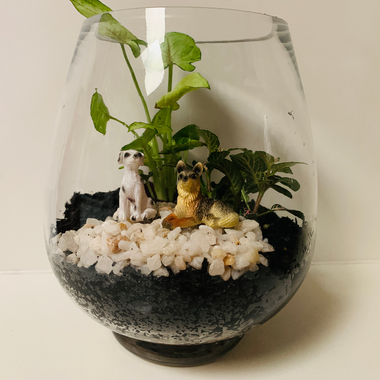 Dog Land Terrarium Botanical Creations